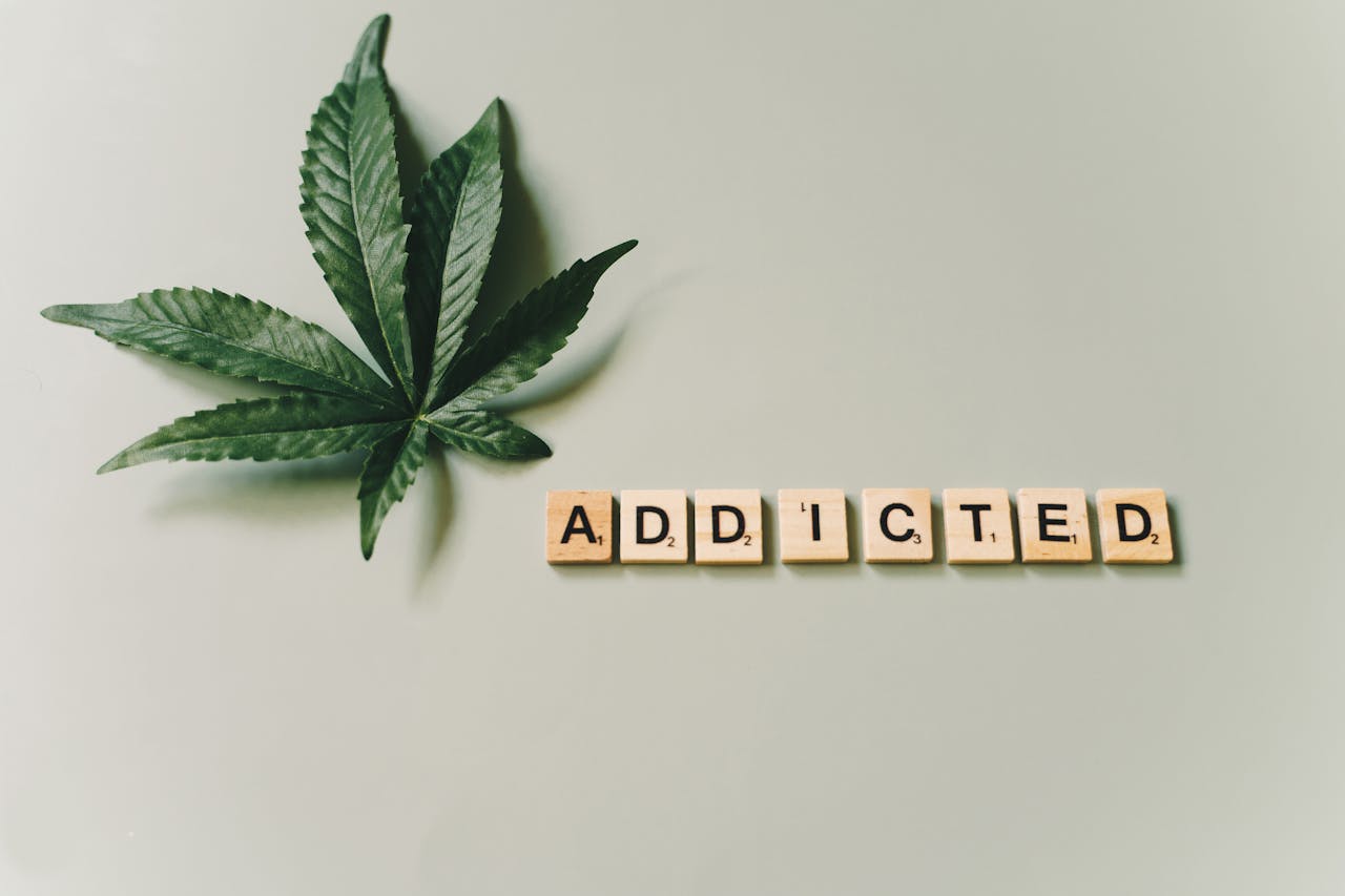 home-hero-1 A cannabis leaf and wooden letter tiles spelling 'addicted' on a green surface.
